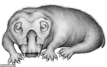Choáng: heo lai khủng long khổng lồ thống trị Nam Cực 250 triệu năm trước