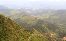 Bình Liêu trái mùa hoa