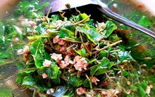 Mưa phùn rau má