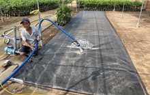 ĐBSCL trữ nước ngọt để tránh hạn