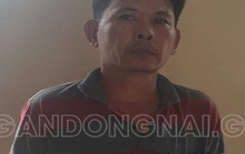 Đồng Nai: Bắt đối tượng dâm ô con gái của người tình