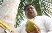 Bộ trưởng Sri Lanka leo cây dừa để... phát biểu