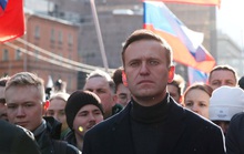 Đức: Chính khách đối lập Nga Alexei Navalny trúng chất độc thần kinh