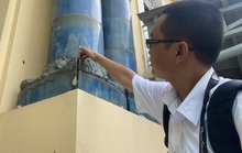 Bảo tàng Mỹ thuật TP HCM lâm nguy