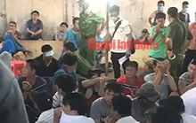 Thông tin mới nhất liên quan vụ trường gà khủng ở quận 6