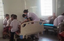 Hàng chục học sinh tiểu học nhập viện cấp cứu vì bị ong đốt