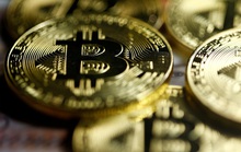 Bitcoin là mẹ của mọi bong bóng