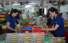 Mức lương, phụ cấp lương trong hợp đồng lao động theo hướng dẫn mới nhất