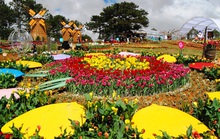 Có gì đặc sắc ở lễ hội hoa kỷ lục hơn 120 triệu Euro tại Quảng Bình?