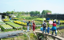 Sức mạnh trong nguy nan