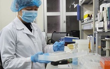 Việt Nam phát hiện ca nhiễm biến thể SARS-CoV-2 tại Nam Phi
