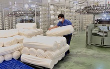 Doanh nghiệp Việt chi 180 tỉ đồng mở nhà máy làm nguyên liệu để sản xuất khẩu trang