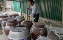 Nhút Thanh Chương, tương Nam Đàn, ăn một lần nhớ mãi