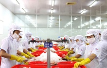 Việt Nam có thể thay thế Ấn Độ, Indonesia cung ứng nông, lâm, thủy sản cho Anh