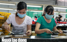 Ngừng việc do dịch bệnh là thời gian làm việc để tính phép năm?