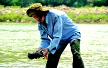 Lên thượng nguồn săn cá xanh