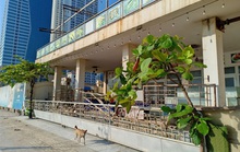 Đà Nẵng: Rao bán hàng loạt khách sạn