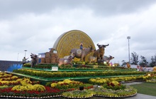 Bình Định dừng hàng loạt chương trình mừng Xuân Tân Sửu