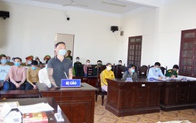 Tòa án Quân sự tuyên phạt 6 bị cáo đầu độc rừng thông ven Quốc lộ 14