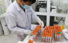 NÓNG: Phát hiện 1 giáo viên ở Hưng Yên dương tính với SARS-CoV-2