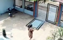 Bình Phước: Vợ bầu 5 tháng liều mình hỗ trợ chồng đuổi trộm