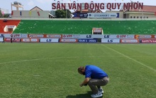 HLV Park Hang-seo bất ngờ kiểm tra chất lượng mặt cỏ sân Quy Nhơn