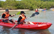 Đi kayak, ngắm rừng ngập mặn đảo Hoa Lan
