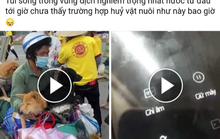 Chủ tịch huyện Trần Văn Thời báo cáo gì việc tiêu hủy đàn chó, mèo?