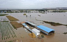 Trung Quốc: Đang chạy, xe buýt bị lũ đẩy xuống sông