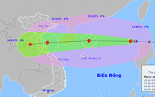 Bão số 8 vào Biển Đông, giật cấp 14 hướng vào miền Trung