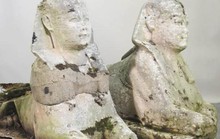 Thanh lý đồ cũ, sốc vì hóa ra báu vật Ai Cập 5.000 tuổi