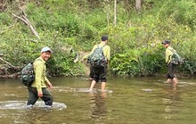 Trọn vẹn với rừng