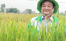 Bộ trưởng Lê Minh Hoan: “Chúng ta quan tâm đến đại bàng nhưng đừng quên chim sẻ!