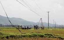 Hai người đàn ông gặt lúa bị điện 35 kV giật chết trên cánh đồng
