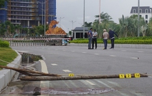 Nguyên nhân vụ hỗn chiến tại khu du lịch khiến 5 người thương vong