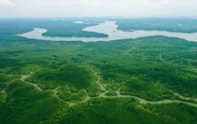 Du lịch an toàn với “Thẻ xanh Covid-19”