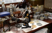 Phát hiện mới về penicillin hứa hẹn đẩy lùi đại dịch giết người