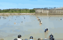 CLIP: Trưa 28-10, cả ngàn người lao xuống hồ Trị An bắt cá khủng