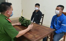 Bắt giữ 2 thanh niên trộm… 2 buồng cau
