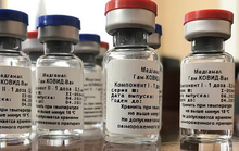 Đơn vị nhập khẩu lên tiếng về lô vắc-xin Covid-19 có hạn sử dụng ngắn