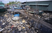 WWF - Việt Nam kêu gọi nâng cao trách nhiệm đối với việc giảm thiểu rác thải nhựa