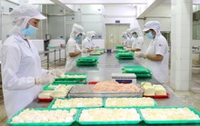 Khoảng trống lao động quá lớn