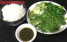 Mắm rạm má làm, ăn là mê!