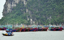 Hải Phòng, Quảng Ninh cấm biển, dừng hoạt động vận tải để ứng phó bão số 7