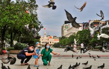 Cuộc thi ảnh “Thiêng liêng cờ Tổ quốc”: Thành phố tôi yêu