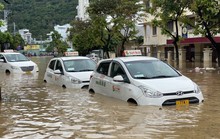 Mưa lớn kéo dài, nhiều nơi ở Bình Định chìm trong biển nước