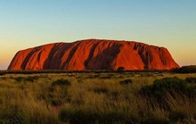 Phát hiện loài hoàn toàn mới trên đỉnh đá thiêng của Úc