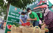 Mở chuỗi nông sản ủng hộ nông dân thay chiến dịch “giải cứu”