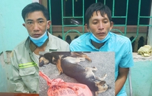 Công an đánh kẻng cùng cả làng truy bắt 2 kẻ trộm chó