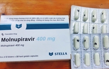 MSD và Pfizer đồng ý nhượng quyền sản xuất thuốc điều trị Covid-19 cho Việt Nam